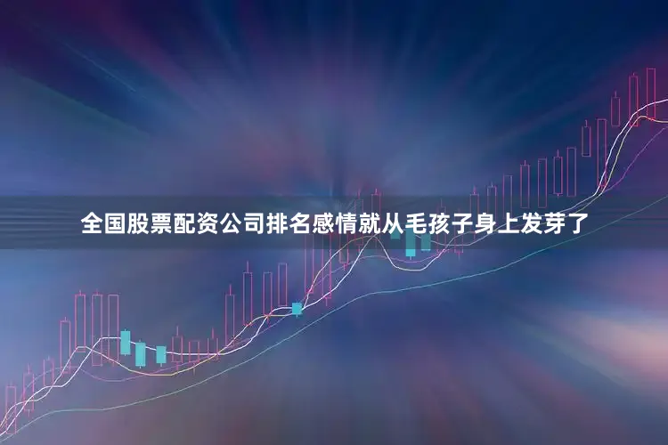 全国股票配资公司排名感情就从毛孩子身上发芽了