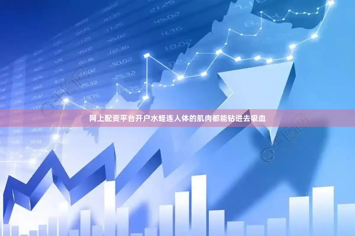 网上配资平台开户水蛭连人体的肌肉都能钻进去吸血