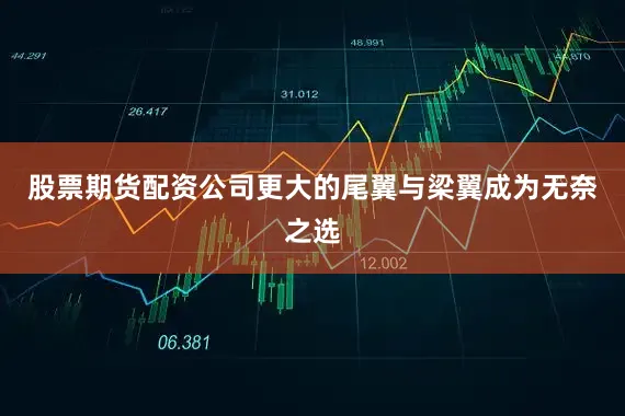 股票期货配资公司更大的尾翼与梁翼成为无奈之选