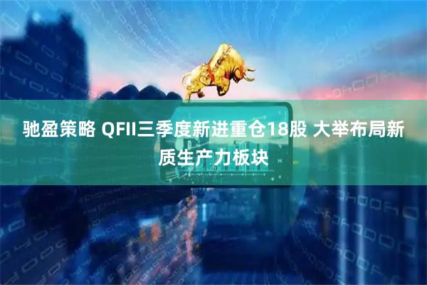 驰盈策略 QFII三季度新进重仓18股 大举布局新质生产力板块