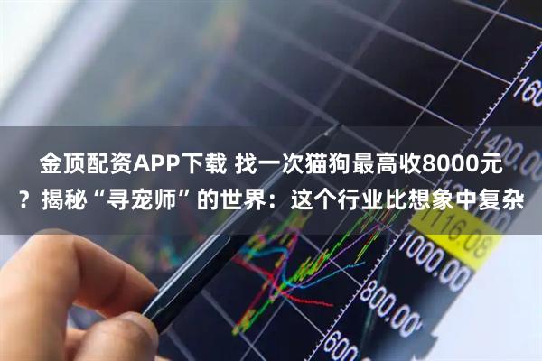 金顶配资APP下载 找一次猫狗最高收8000元?揭秘“寻宠师”的世界:这个行业比想象中复杂