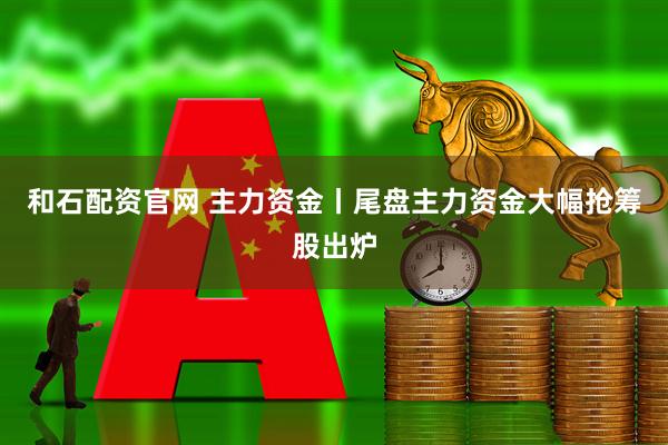 和石配资官网 主力资金丨尾盘主力资金大幅抢筹股出炉