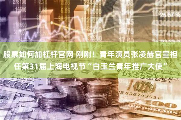 股票如何加杠杆官网 刚刚！青年演员张凌赫官宣担任第31届上海电视节“白玉兰青年推广大使”