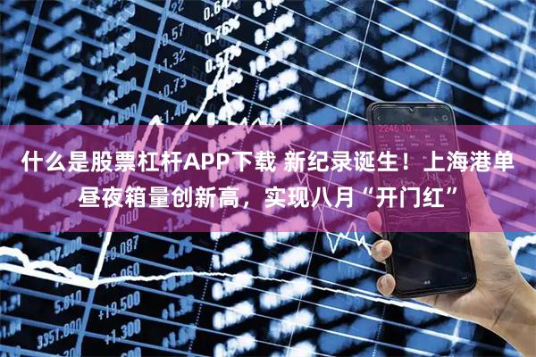 什么是股票杠杆APP下载 新纪录诞生！上海港单昼夜箱量创新高，实现八月“开门红”
